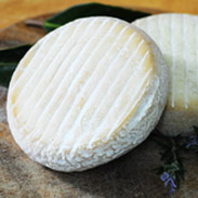 GOAT CHEESES